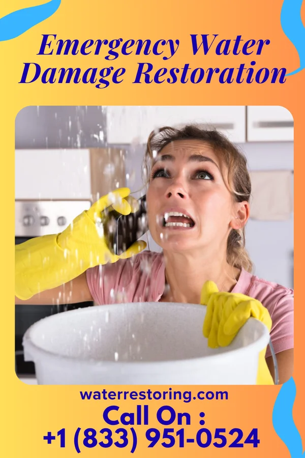 Emergency Water Damage Restoration in Flora, IL