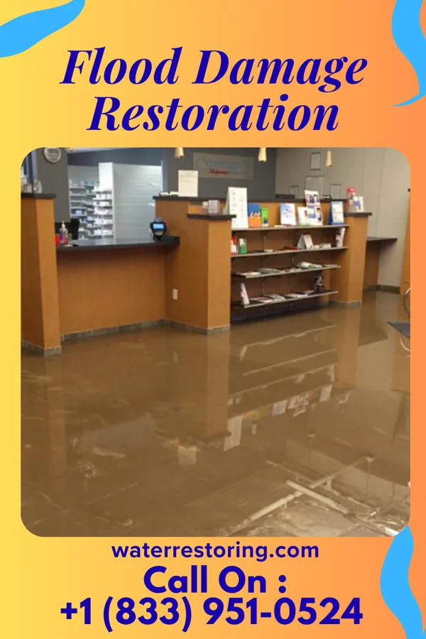 Flood Damage Restoration in Flora, IL